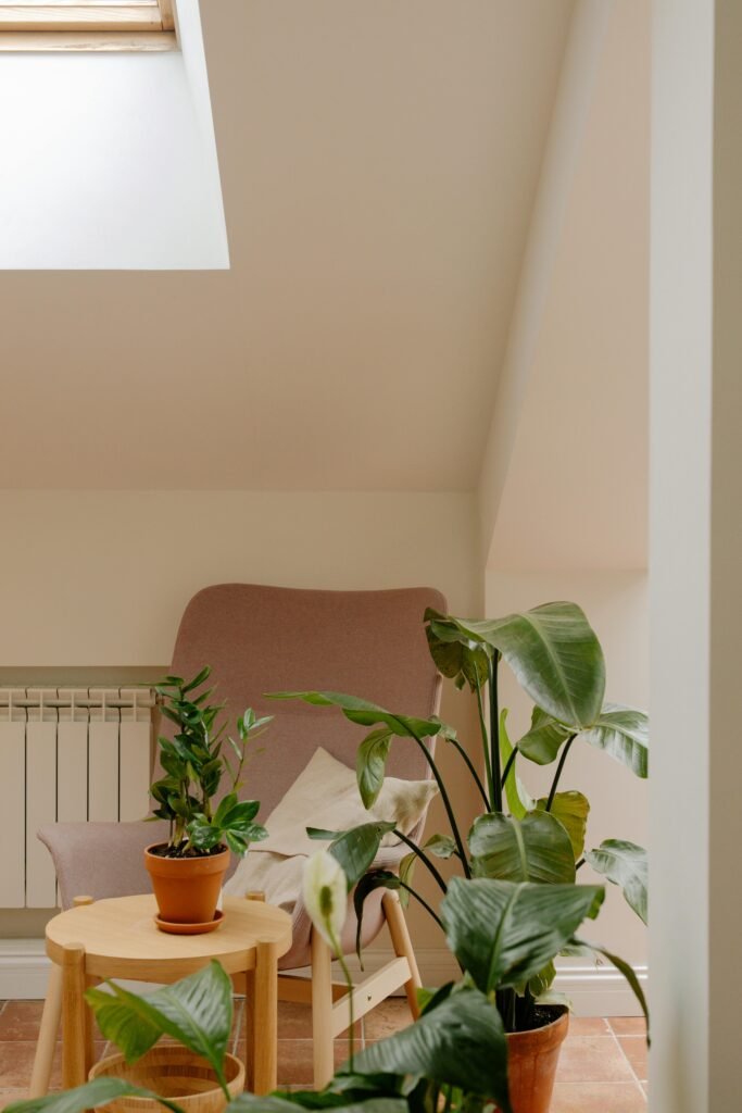 pexels-photo-9720703-9720703 A serene indoor corner featuring a comfy armchair and lush potted plants under a skylight.